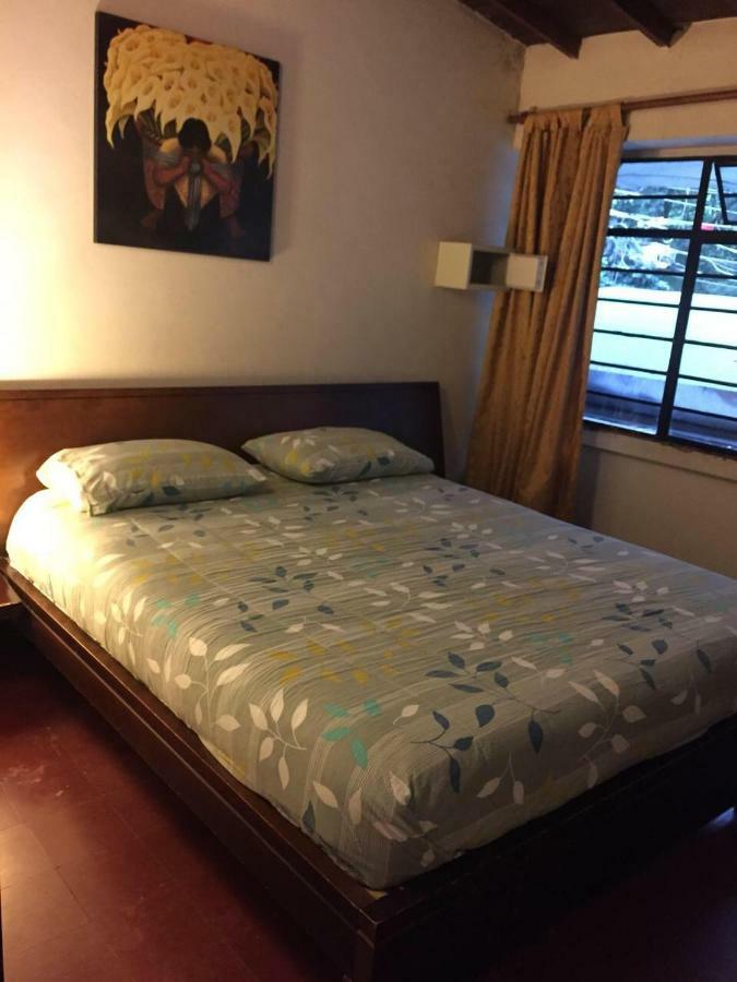Hostel Casa Kiwi